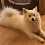 Ersteller:in Carolin Profilbild