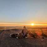 Ersteller:in Daina Profilbild