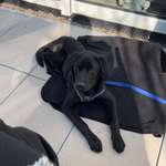 Ersteller:in Jennifer Profilbild