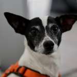 Ersteller:in Anna Profilbild