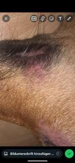 Was könnte das sein?-Beitrag-Bild