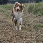 Ersteller:in Julia Profilbild