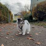 Ersteller:in Andrea Profilbild