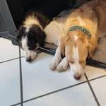 Ersteller:in Kristina Profilbild