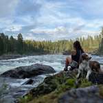 Ersteller:in Svenja Profilbild