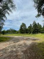 Hundeauslaufgebiet-Buchgass-Bild