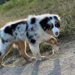 Ersteller:in Marvin Profilbild