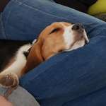 Ersteller:in Nicole Profilbild