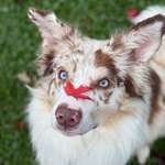 Ersteller:in Vivienne Profilbild