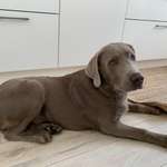 Ersteller:in Stefanie Profilbild