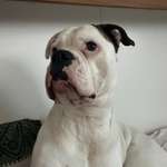 Ersteller:in Maria Profilbild