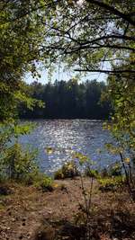 Hundeauslaufgebiet-Tunxdorfer Waldsee-Bild