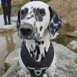 Ersteller:in Jana Profilbild