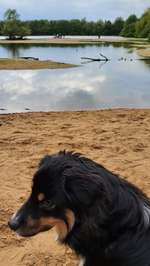 Hundeauslaufgebiet-Hummelsee-Bild