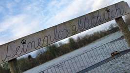 Hundeauslaufgebiet-Abschiedskoppel / Biotop-Bild