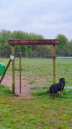 Hundeauslaufgebiet-Abschiedskoppel / Biotop-Bild