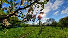 Hundeauslaufgebiet-Abschiedskoppel / Biotop-Bild