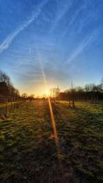 Hundeauslaufgebiet-Abschiedskoppel / Biotop-Bild