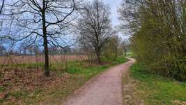 Hundeauslaufgebiet-Pinnauquelle/Norderstedter Straße-Bild