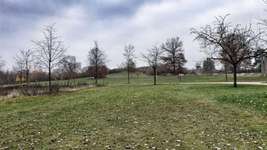 Hundeauslaufgebiet-Bürgerpark-Bild