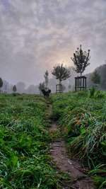 Hundeauslaufgebiet-Abschiedskoppel / Biotop-Bild