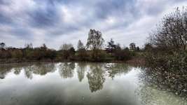 Hundeauslaufgebiet-Bürgerpark-Bild