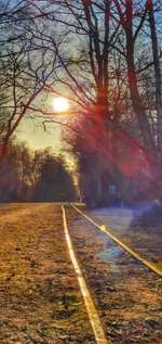 Hundeauslaufgebiet-Himmelmoor-Bild