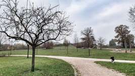 Hundeauslaufgebiet-Bürgerpark-Bild