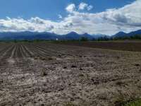 Hundeauslaufgebiet-Panger Felder-Bild