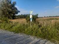 Hundeauslaufgebiet-Mallertshofer Forst-Bild