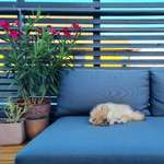 Ersteller:in Tea Profilbild