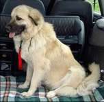 Suchmeldung-Claudia-Bild