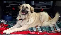 Suchmeldung-Claudia-Bild