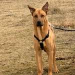 Ersteller:in Katrin Profilbild