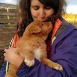 Ersteller:in Tabea Profilbild