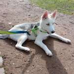 Ersteller:in Michelle Profilbild