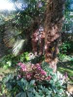 Ersteller:in Birgit Profilbild