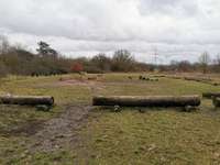 Hundeauslaufgebiet-Hundespiel- und Übungsplatz-Bild