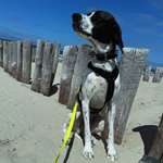 Ersteller:in Maren Profilbild