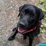 Ersteller:in Lea Profilbild