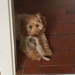 Ersteller:in Meret Profilbild