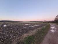 Hundeauslaufgebiet-Beim Dillinger Ökosee-Bild