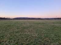 Hundeauslaufgebiet-Beim Dillinger Ökosee-Bild