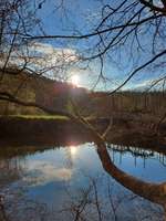 Hundeauslaufgebiet-Busenbach/Kochmühle, an der Alb-Bild