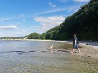 Hundeauslaufgebiet-Solitüde-Bild