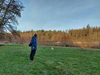 Hundeauslaufgebiet-Busenbach/Kochmühle, an der Alb-Bild