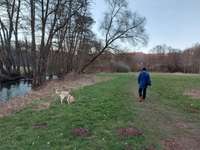 Hundeauslaufgebiet-Busenbach/Kochmühle, an der Alb-Bild