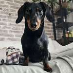 Ersteller:in Daniel Profilbild