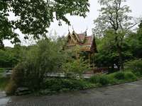 Hundeauslaufgebiet-Westpark West-Bild