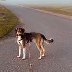 Suchmeldung-Mex-Bild